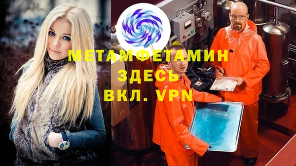 спиды Богданович