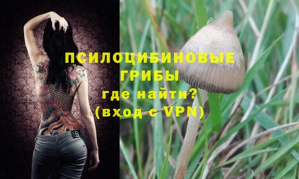 спиды Богданович