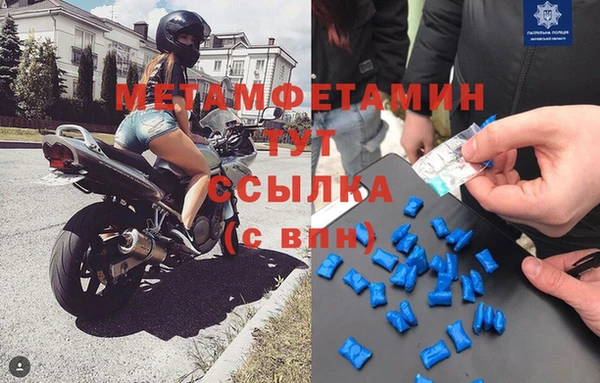 спиды Богданович