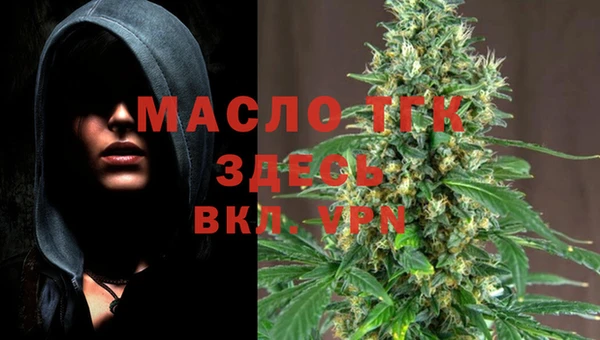 спиды Богданович
