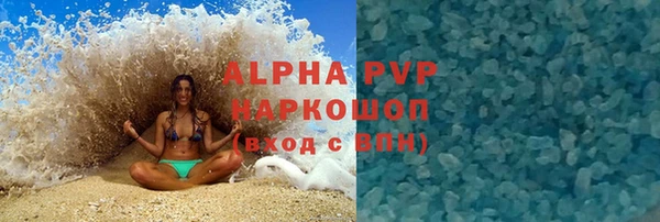 спиды Богданович