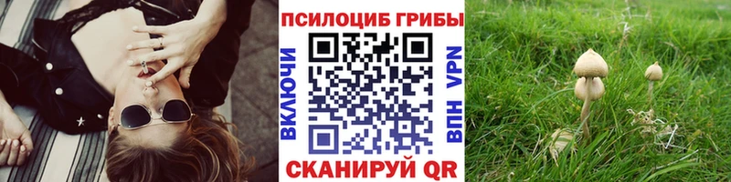 Галлюциногенные грибы Psilocybe  OMG ONION  Миньяр 
